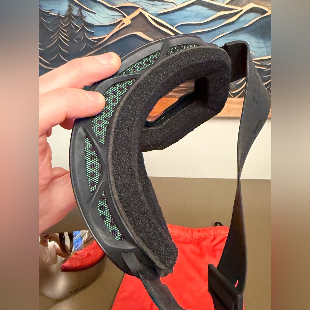 Giro Article II Snow Goggles - Picture 11 of 11